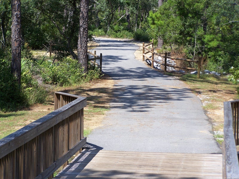 A wooden bridge over a path in the woods