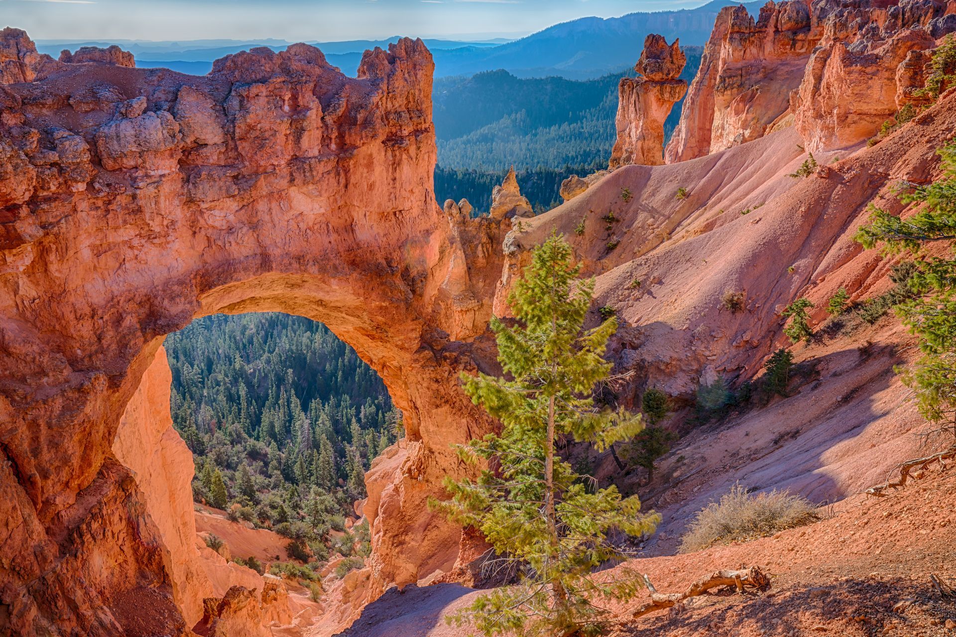 arches national park