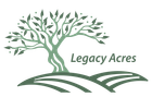 Air Plus Logo
