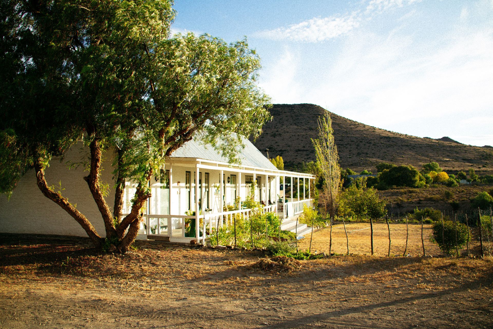 A white farmhouse with a wraparound porch stands beside a large, leafy tree under a bright sky with a distant hill.