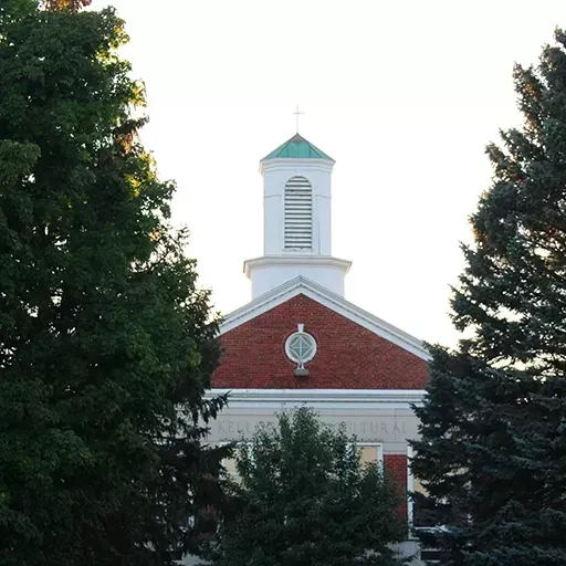 Red-brick church steeple with white tower and cross, framed by tall trees