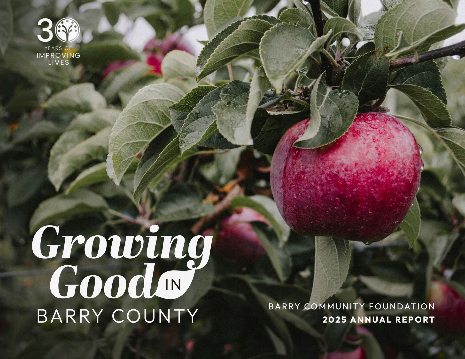 Red apple on a tree with “Growing Good in Barry County” and Dairy Month Foundation 2023 annual report text