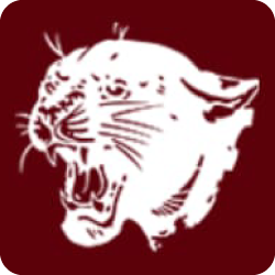 White roaring big cat head logo on a dark red background