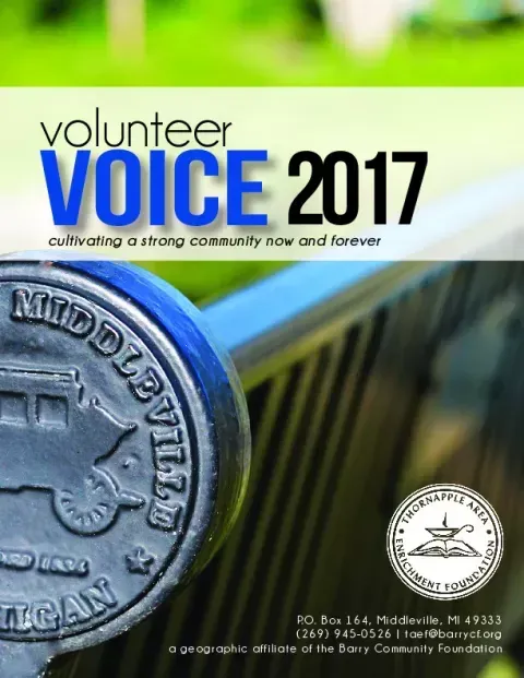 Volunteer Voice 2017 poster with blue text and a close-up of a coin on a railing