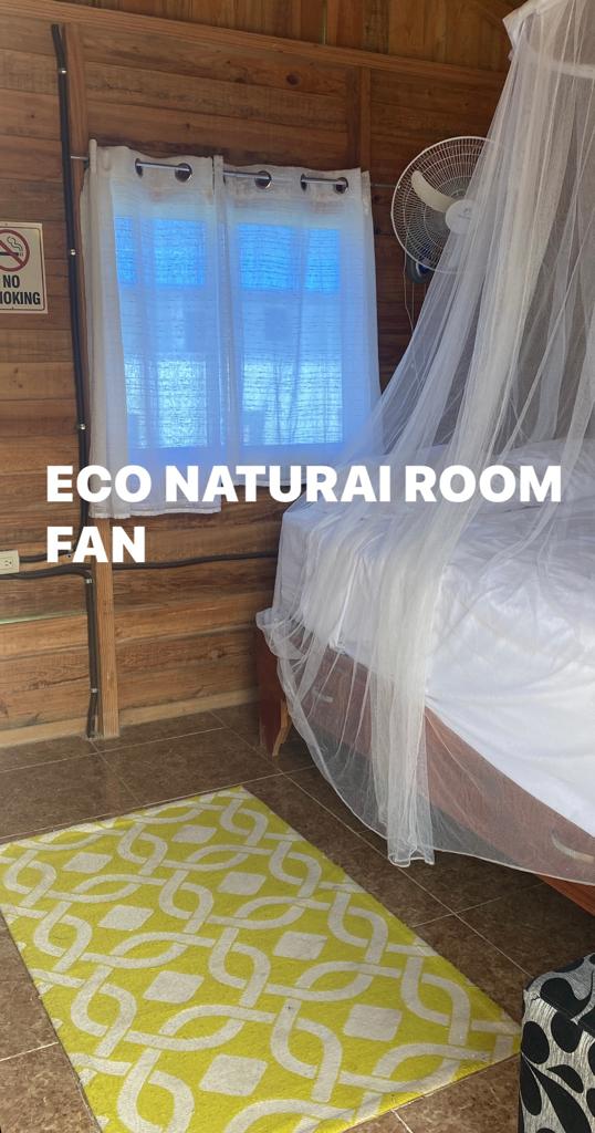 There is a mosquito net over the bed in the room.
