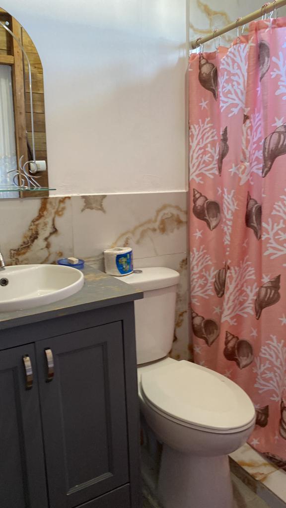 A bathroom with a toilet , sink and shower curtain.