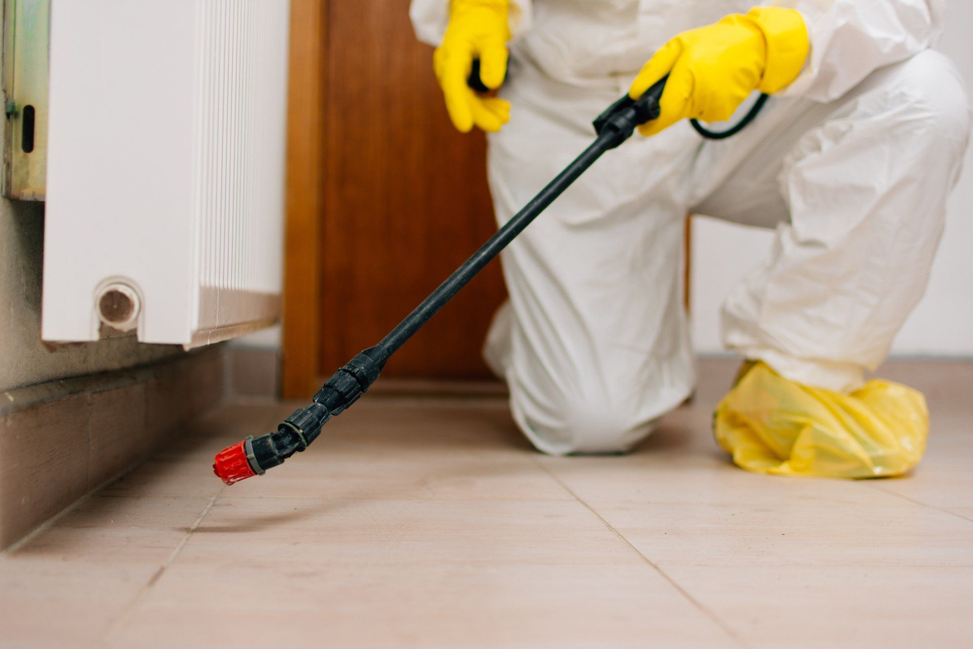 Pest Control Exterminator Services Spraying Insecticide - Warner Robins, GA - Just In Case Pest Control Pest Control Exterminator Services Spraying Insecticide - Warner Robins, GA - Just In Case Pest Control