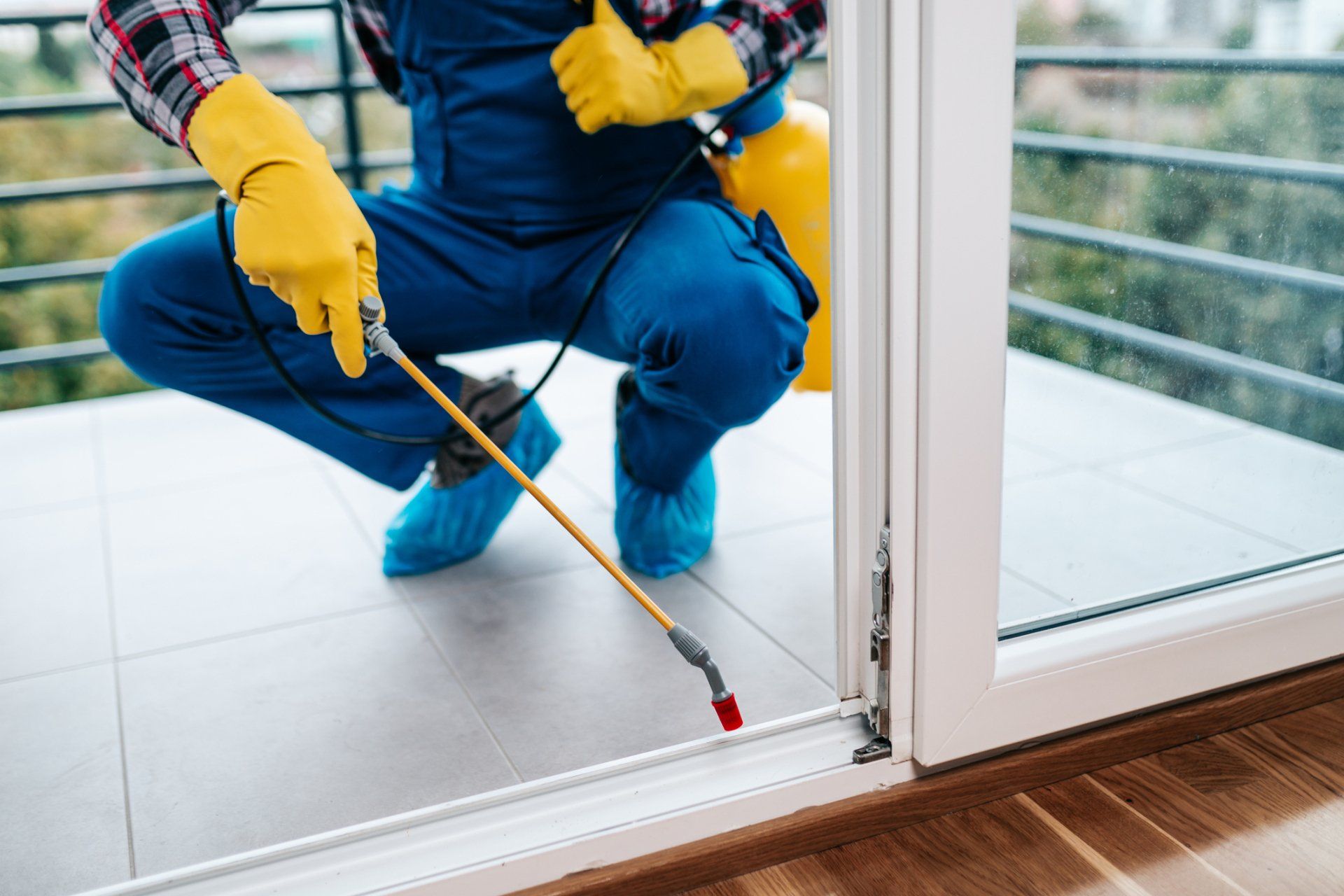 House Pest Control - Warner Robins, GA - Just In Case Pest Control