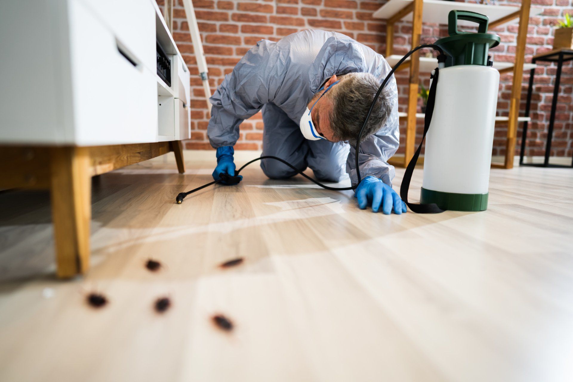 Pest Control Exterminator Services Spraying Insecticide - Warner Robins, GA - Just In Case Pest Control Pest Control Exterminator Services Spraying Insecticide - Warner Robins, GA - Just In Case Pest Control