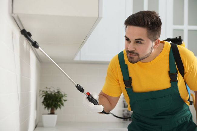 Professional Worker In Protective Workwear - Warner Robins, GA - Just In Case Pest Control