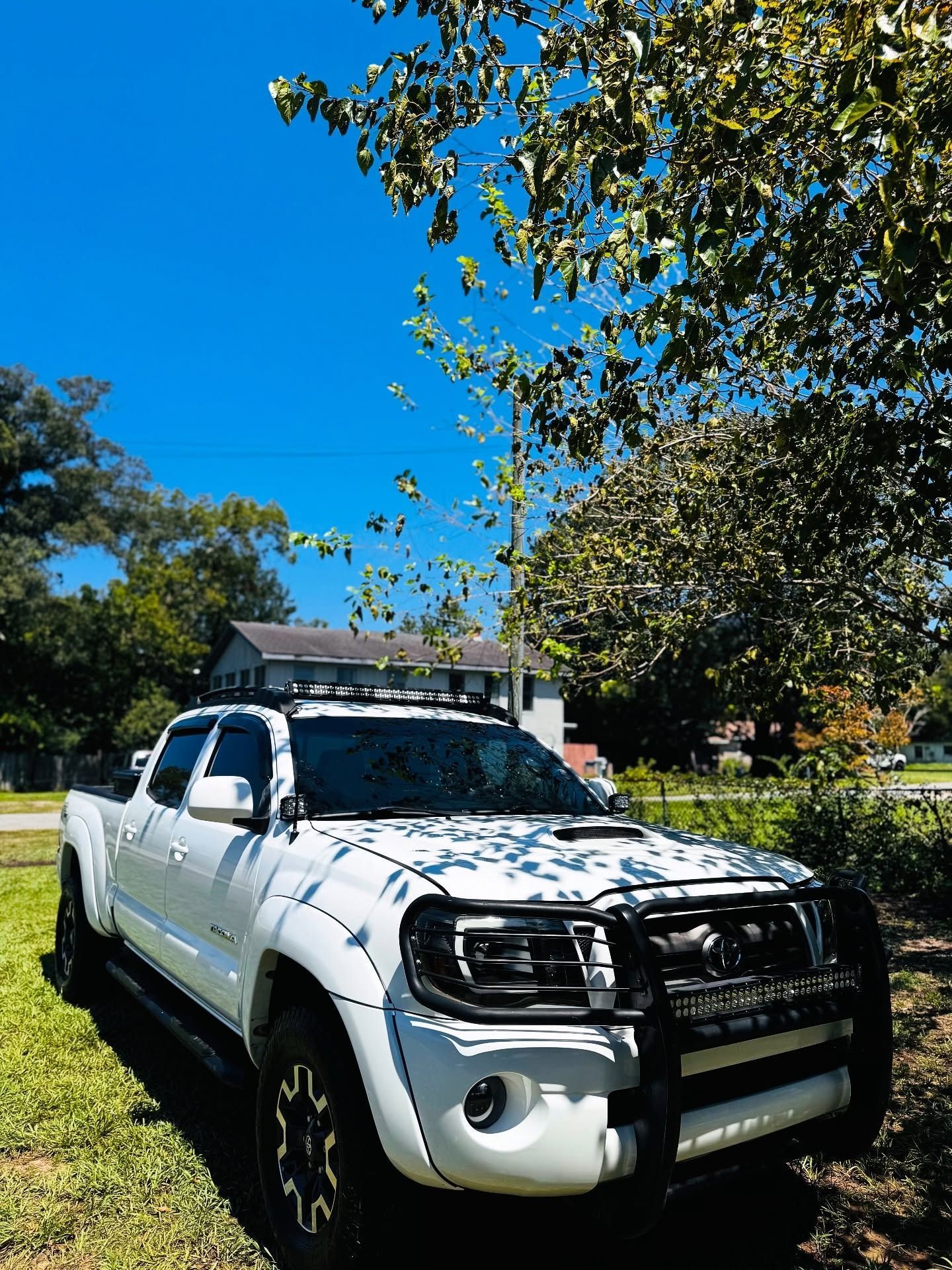 White pickup truck parked on grass beneath a tree in a sunny yard