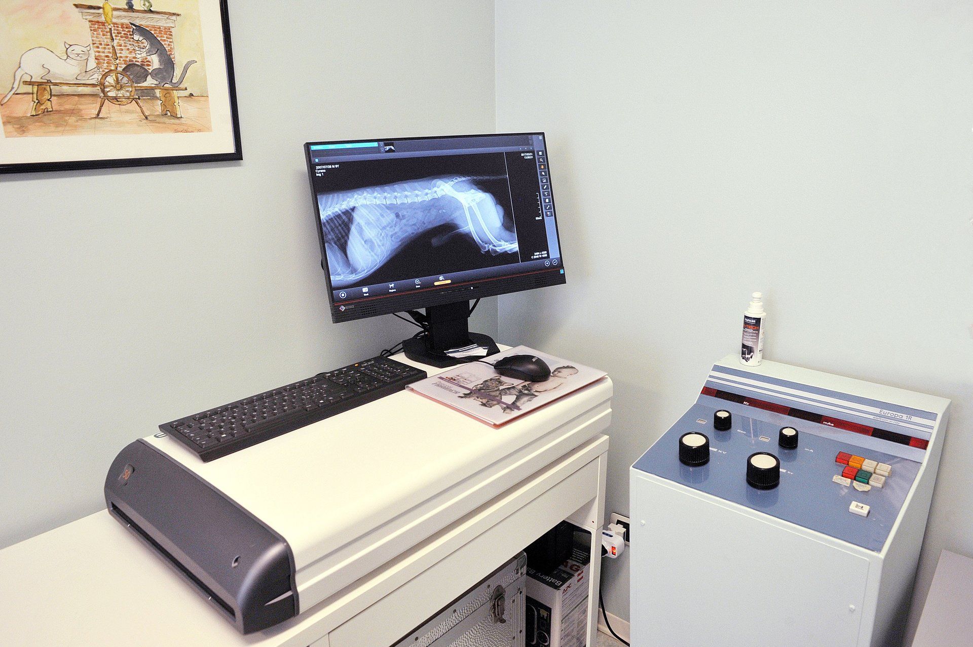 Eseguiamo radiografie ed ecografie di routine o in sedazione