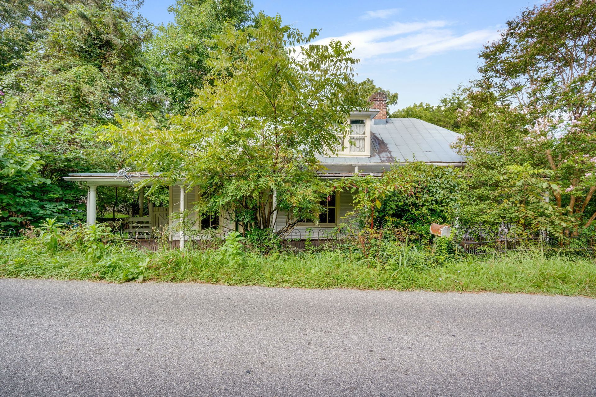 Overgrown house with a porch and gray roof behind dense greenery beside a road
