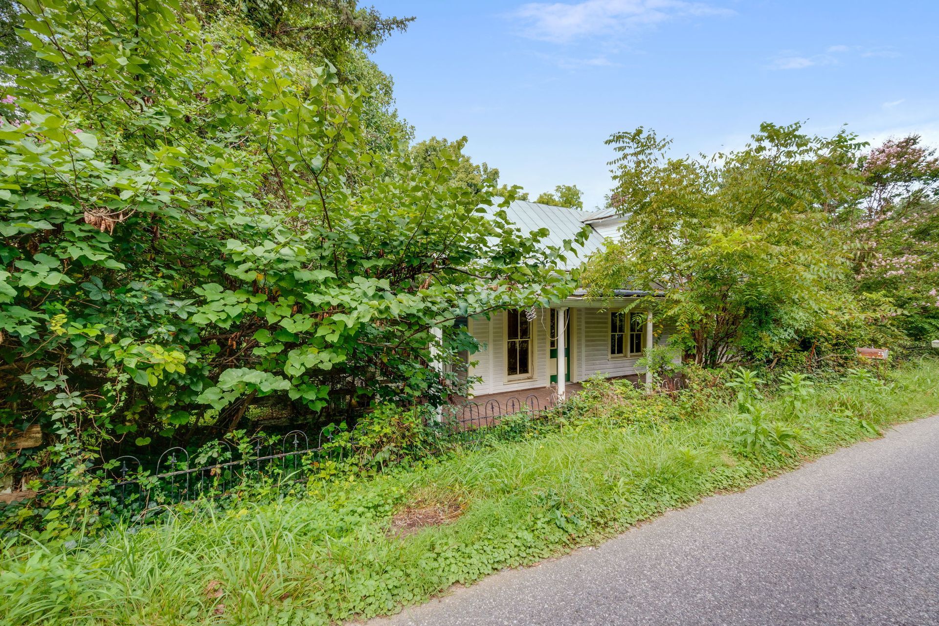 Overgrown roadside house partly hidden by dense green trees and shrubs