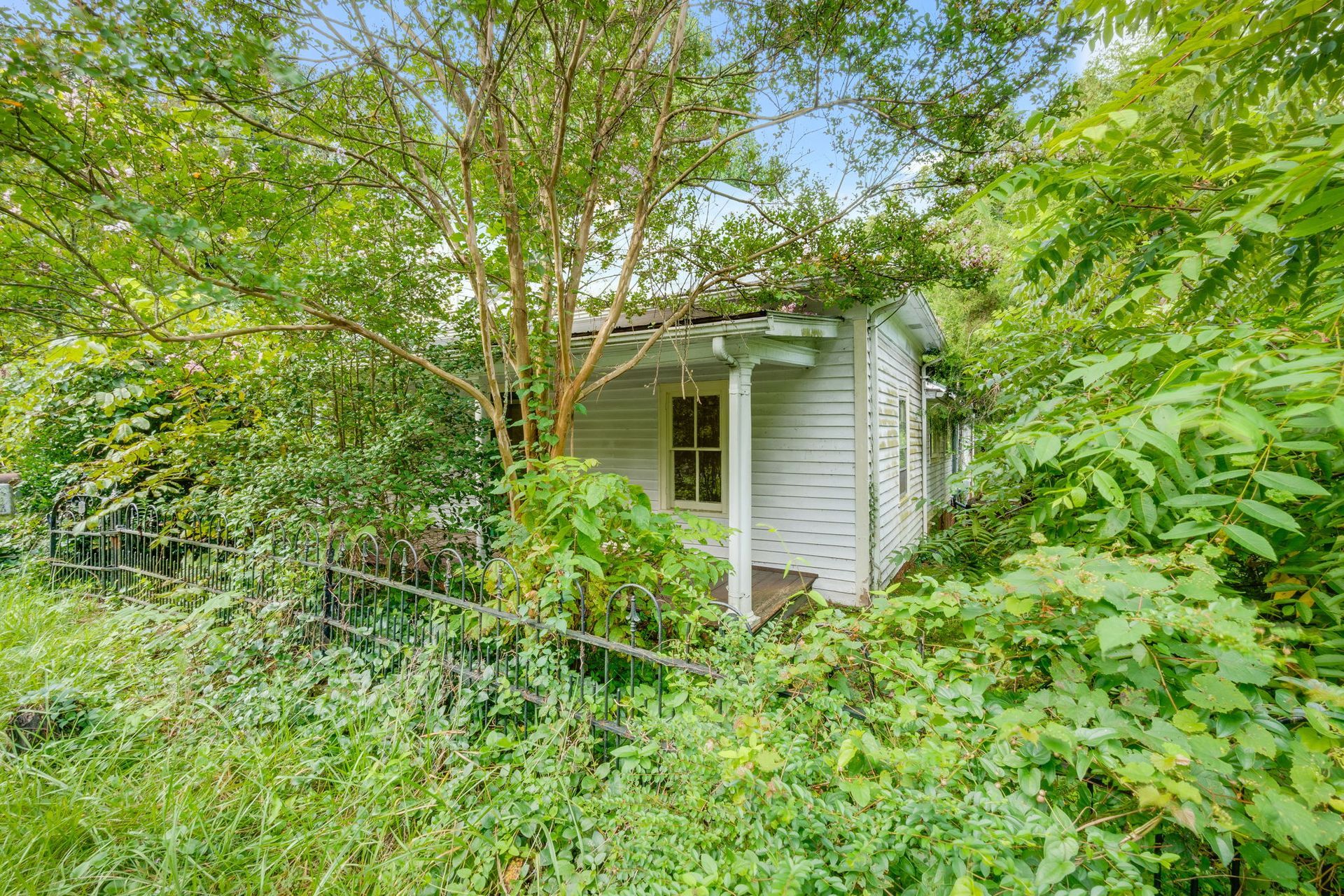 Overgrown white house partially hidden by dense green foliage and trees