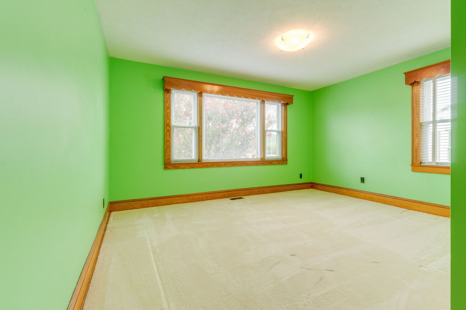Empty room with bright green walls, beige carpet, wood trim, and two windows.
