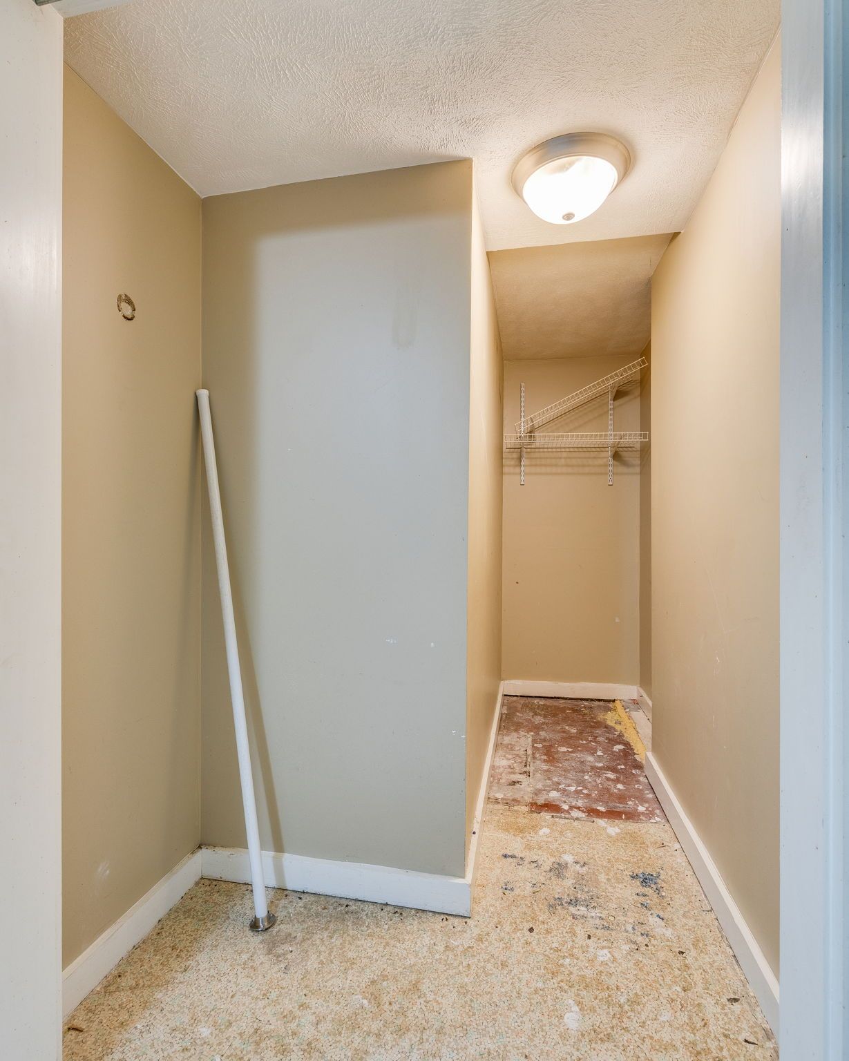 Empty beige walk-in closet with shelf and hanging rod, carpeted floor, and a ceiling light.