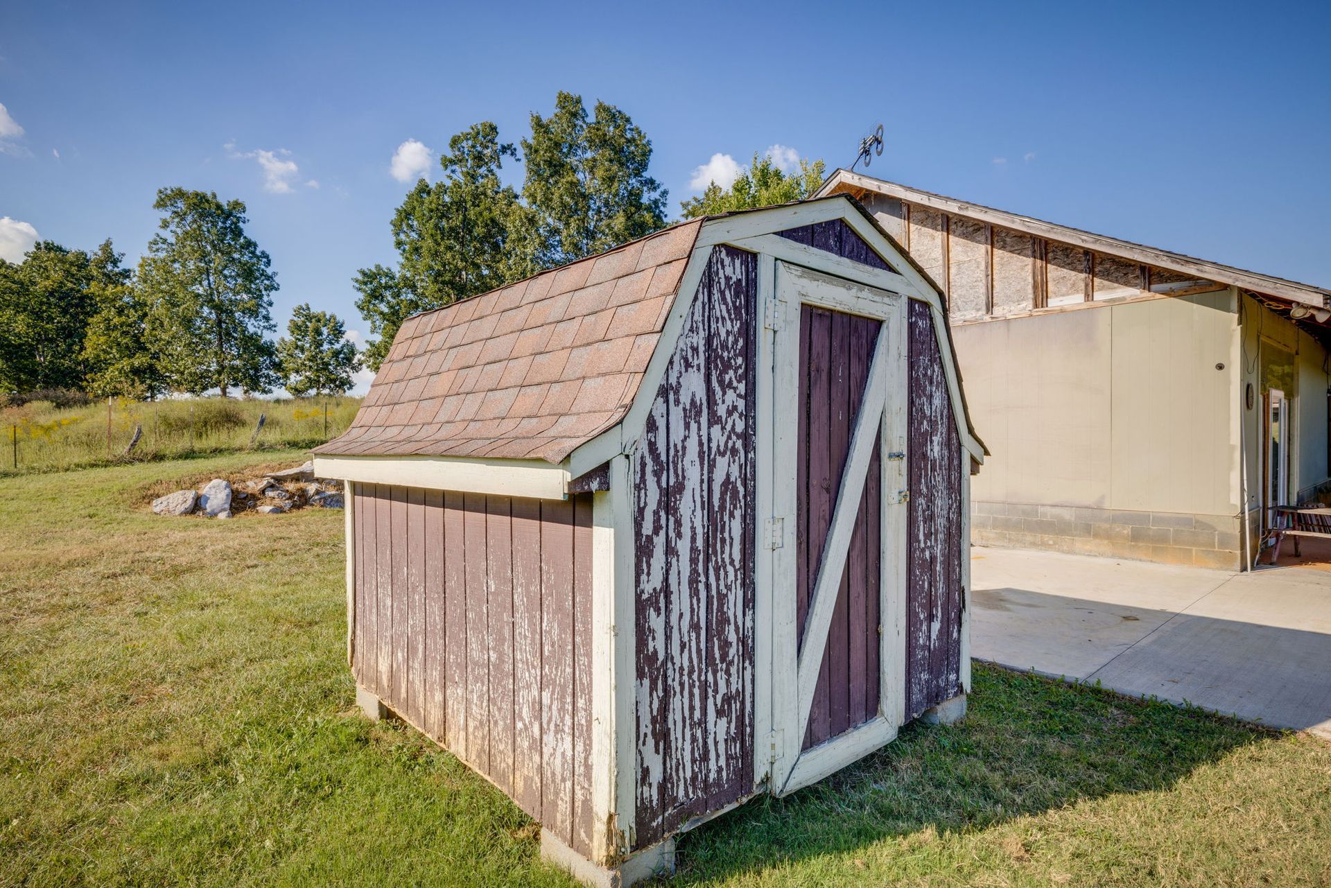 Weathered wooden garden shed with a purple door in a grassy backyard.