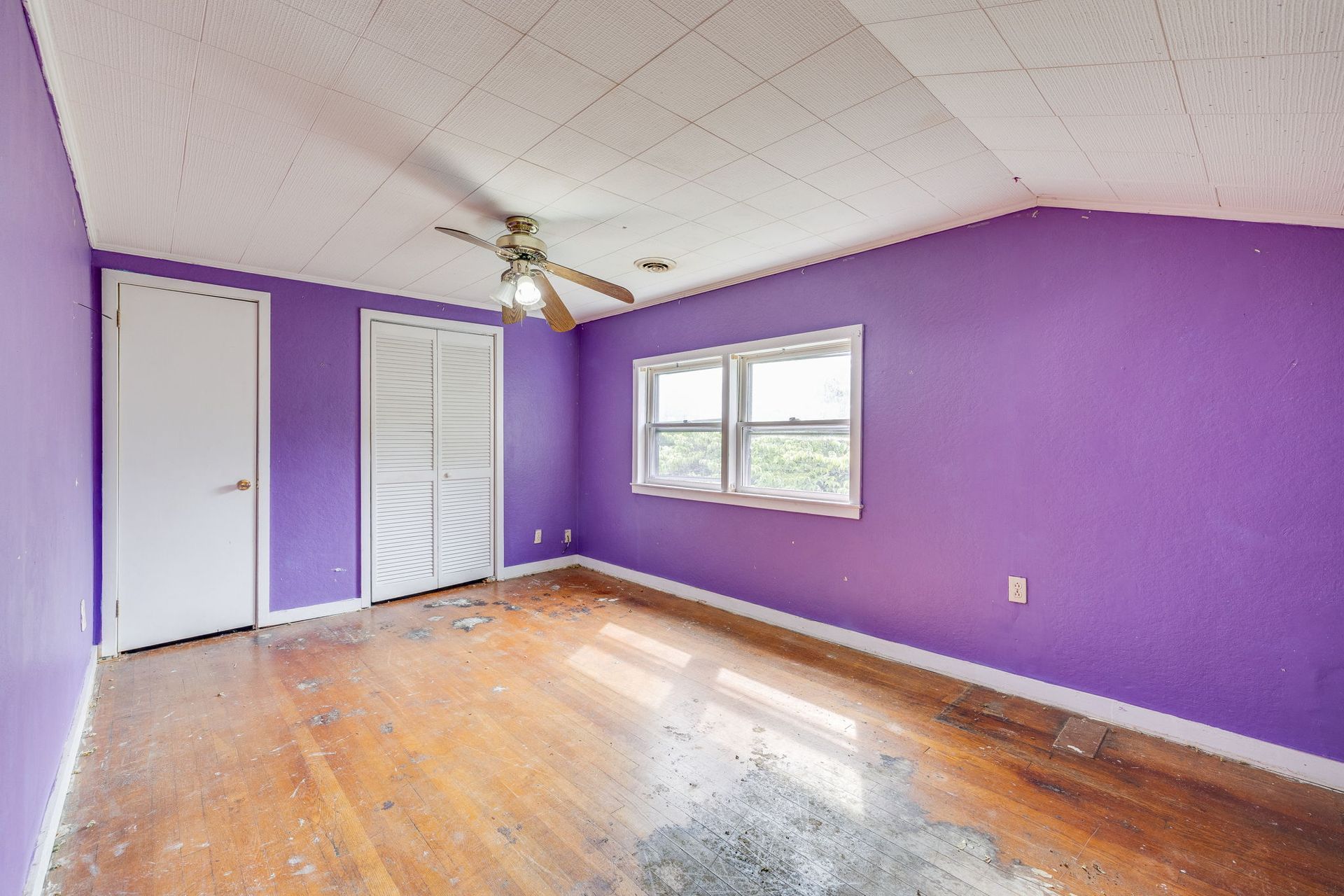 Empty purple bedroom with wood floor, white closet doors, ceiling fan, and a window letting in light
