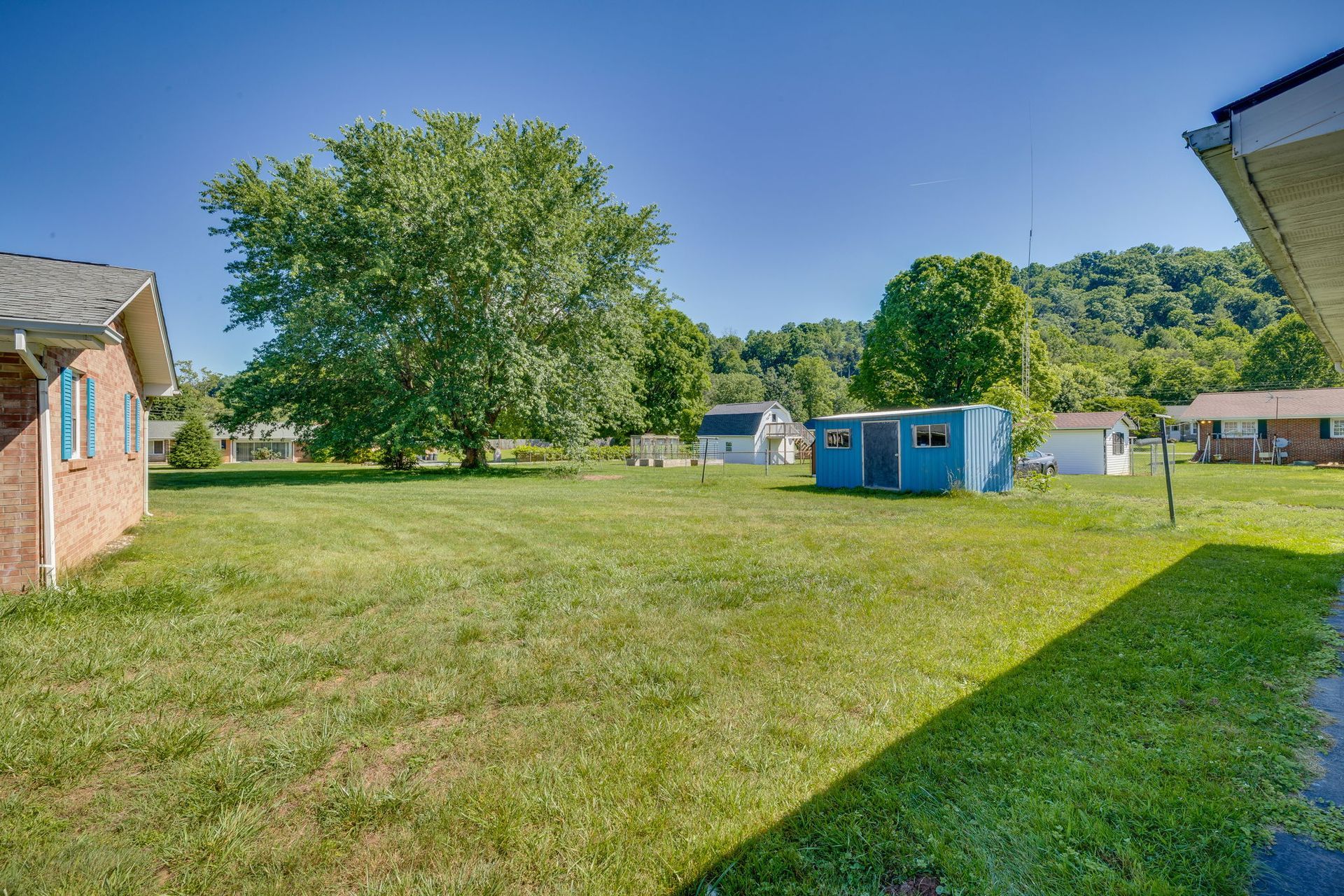 Suburban backyard with grass, a large tree, and blue storage sheds under a clear sky