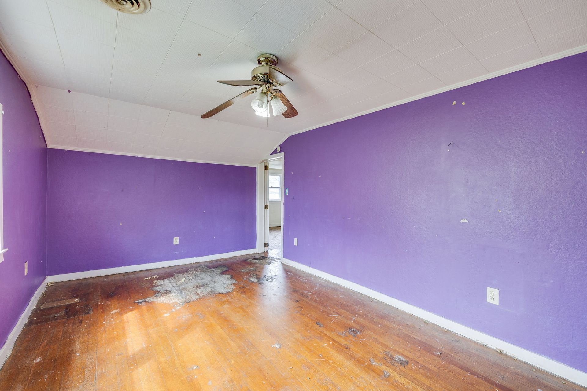 Empty purple living room with hardwood floors and a ceiling fan
