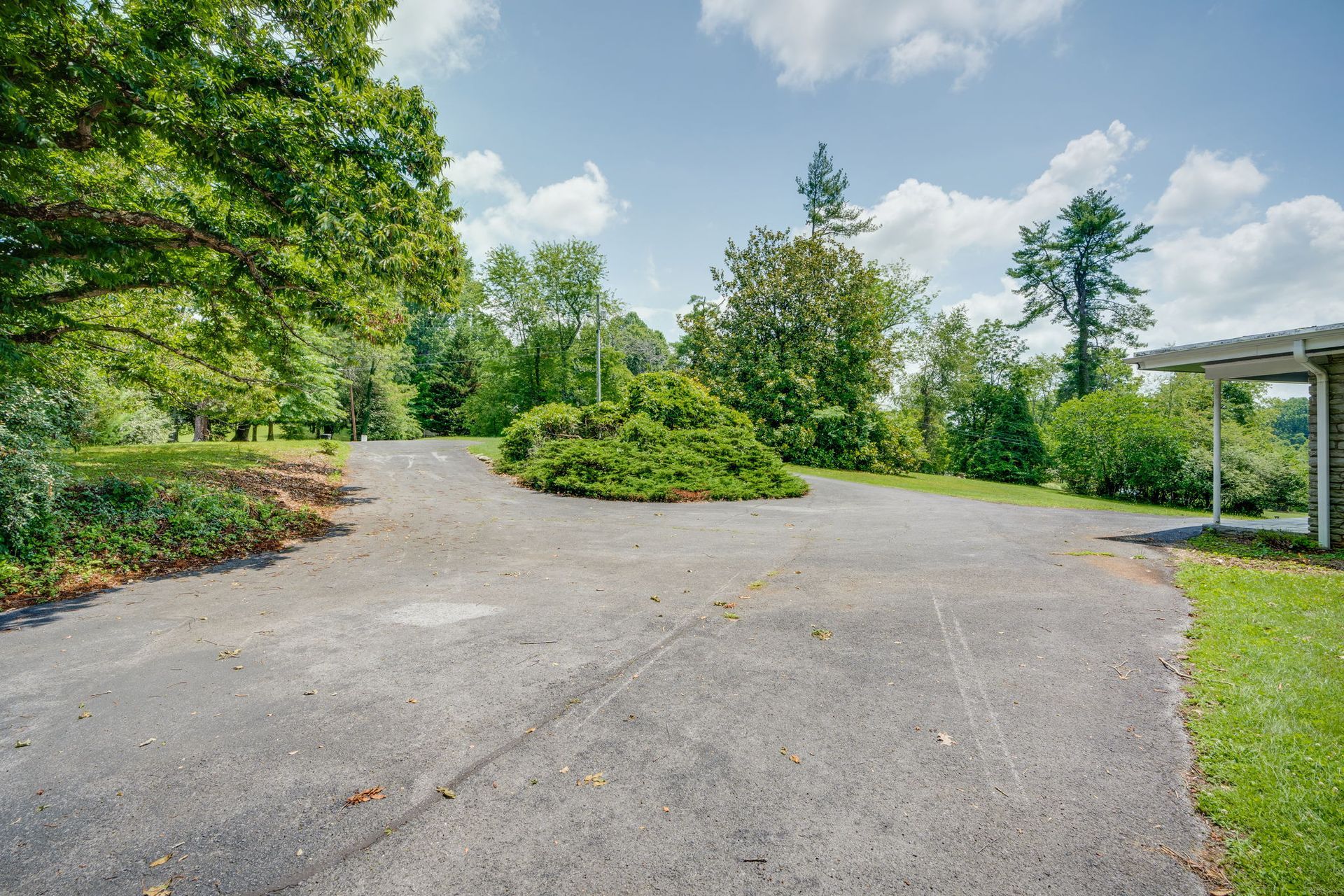 Empty paved path in a green park with trees and shrubs under a cloudy sky