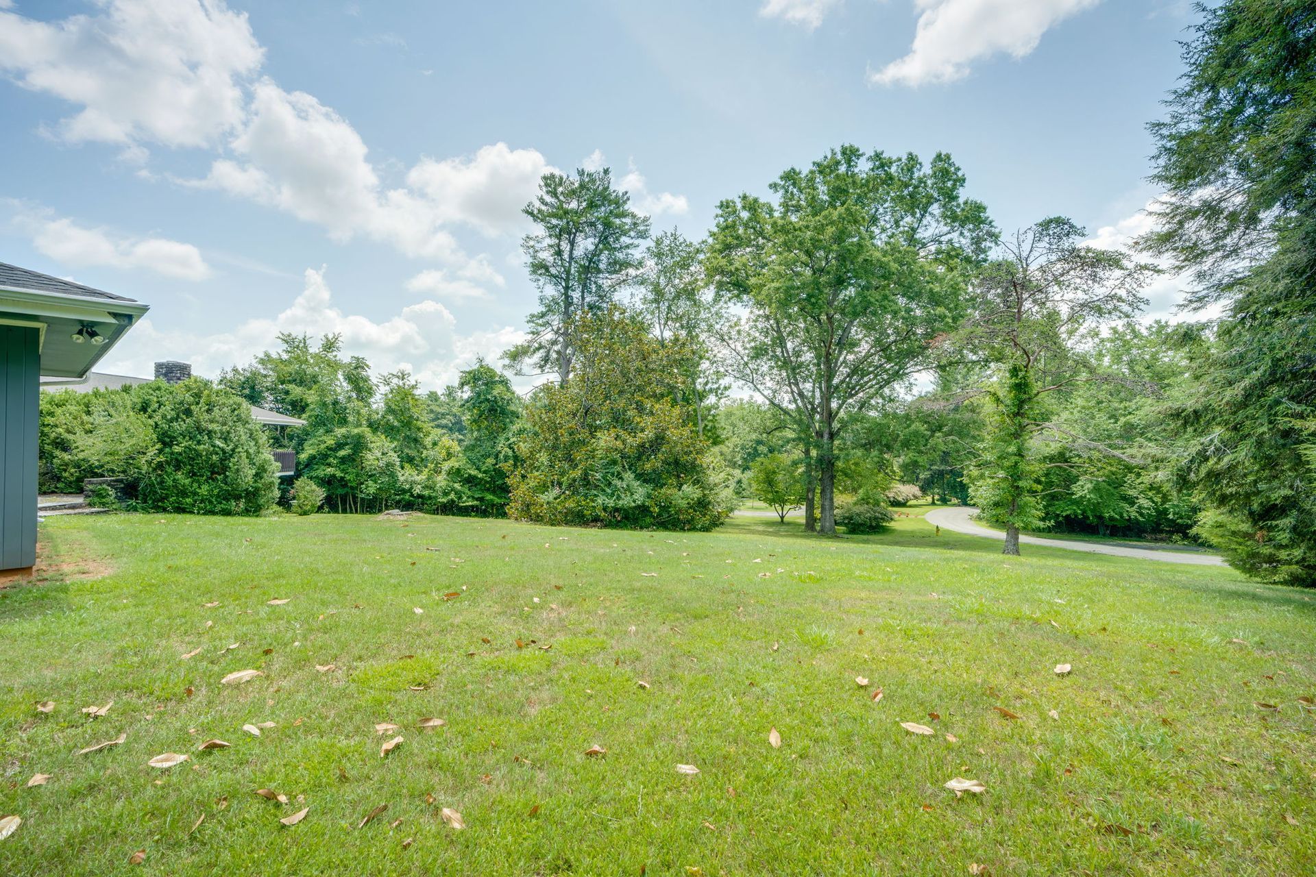Grassy backyard with trees, shrubs, and a partly cloudy sky