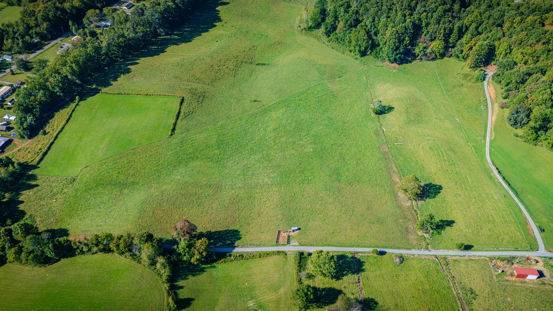 Aerial view of a green pasture with a road, trees, and a few small buildings along the edge