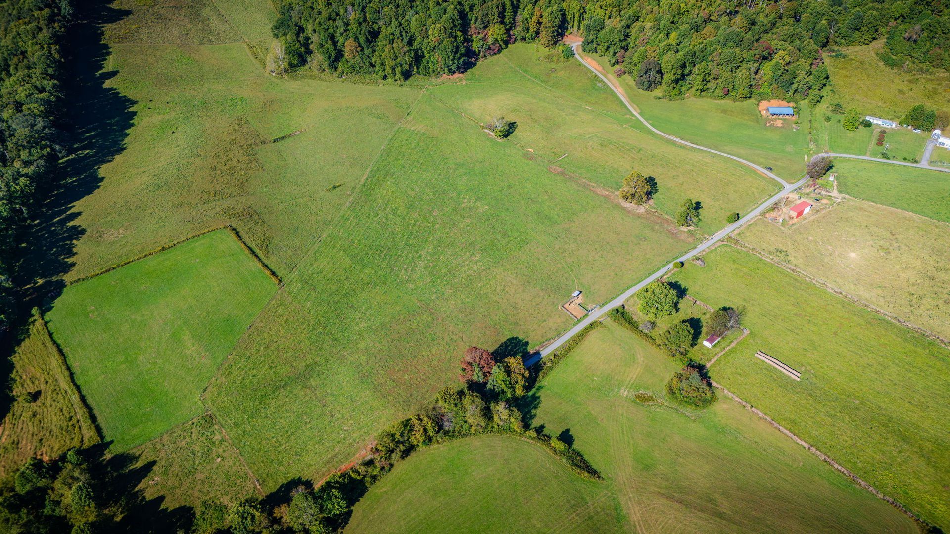Aerial view of green farmland with fields, trees, and a road cutting through the landscape