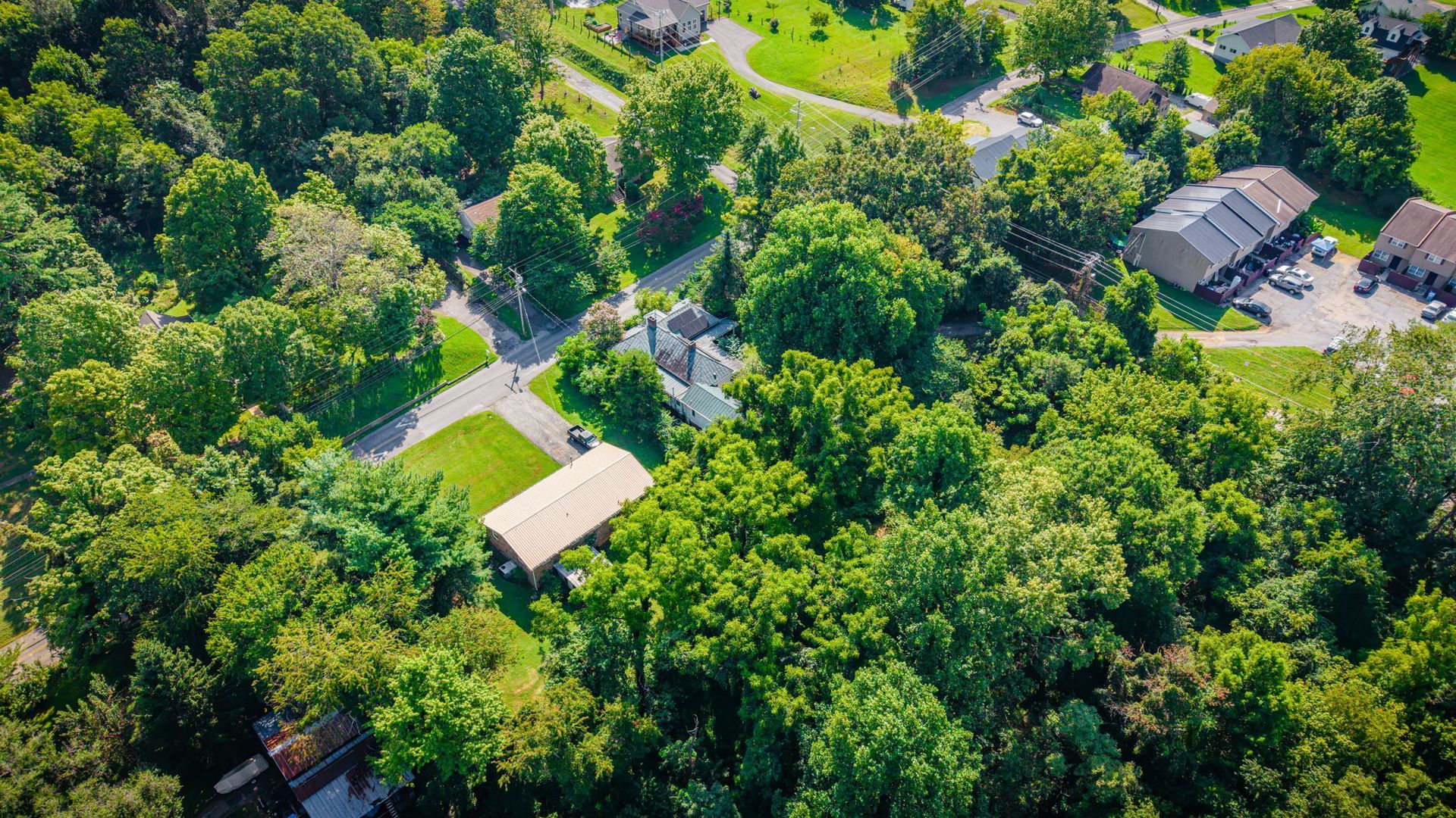 Aerial view of a lush green neighborhood with scattered houses and winding roads