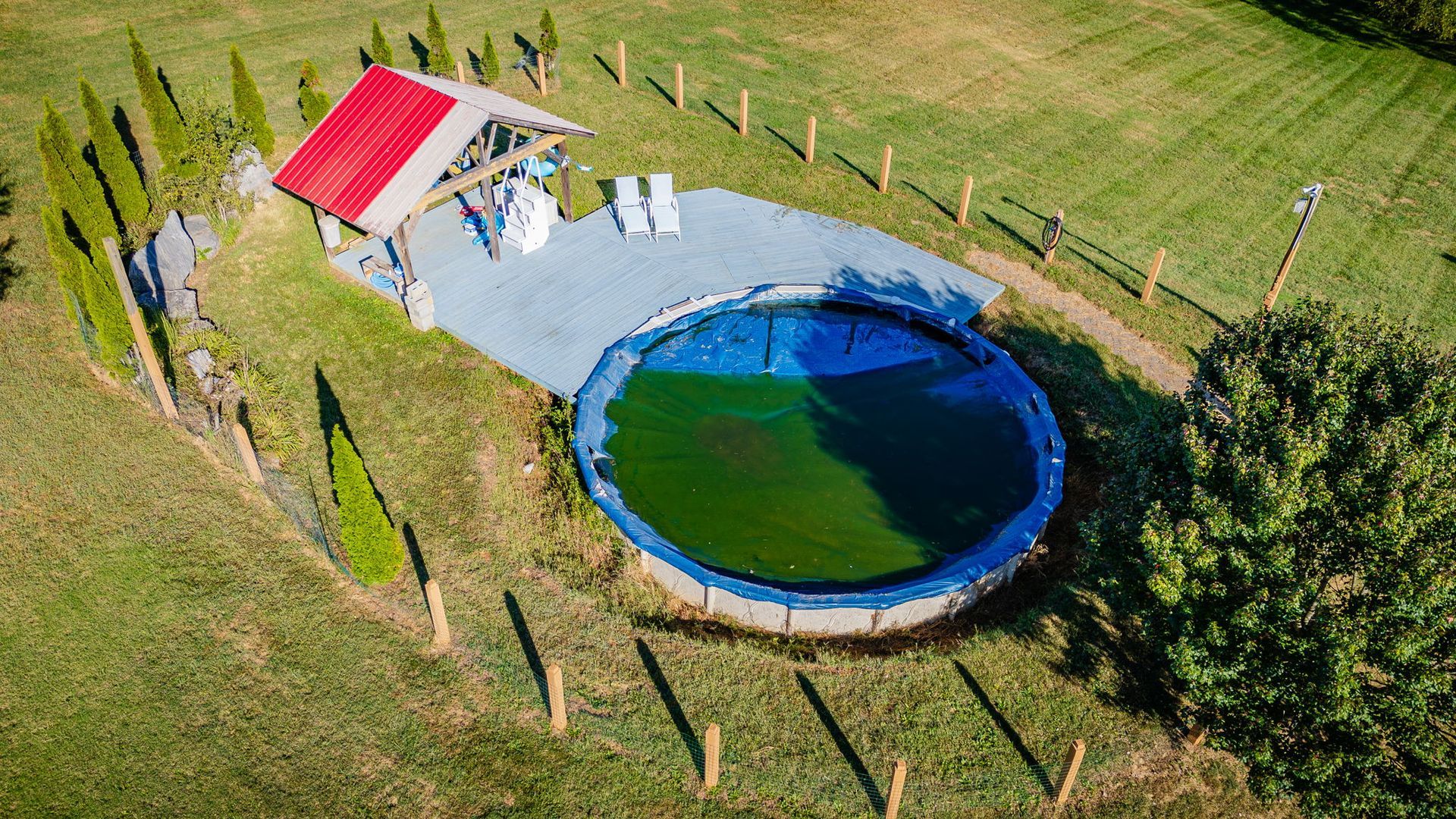 Backyard above-ground pool with blue water beside a red-roofed shade and fenced grassy yard