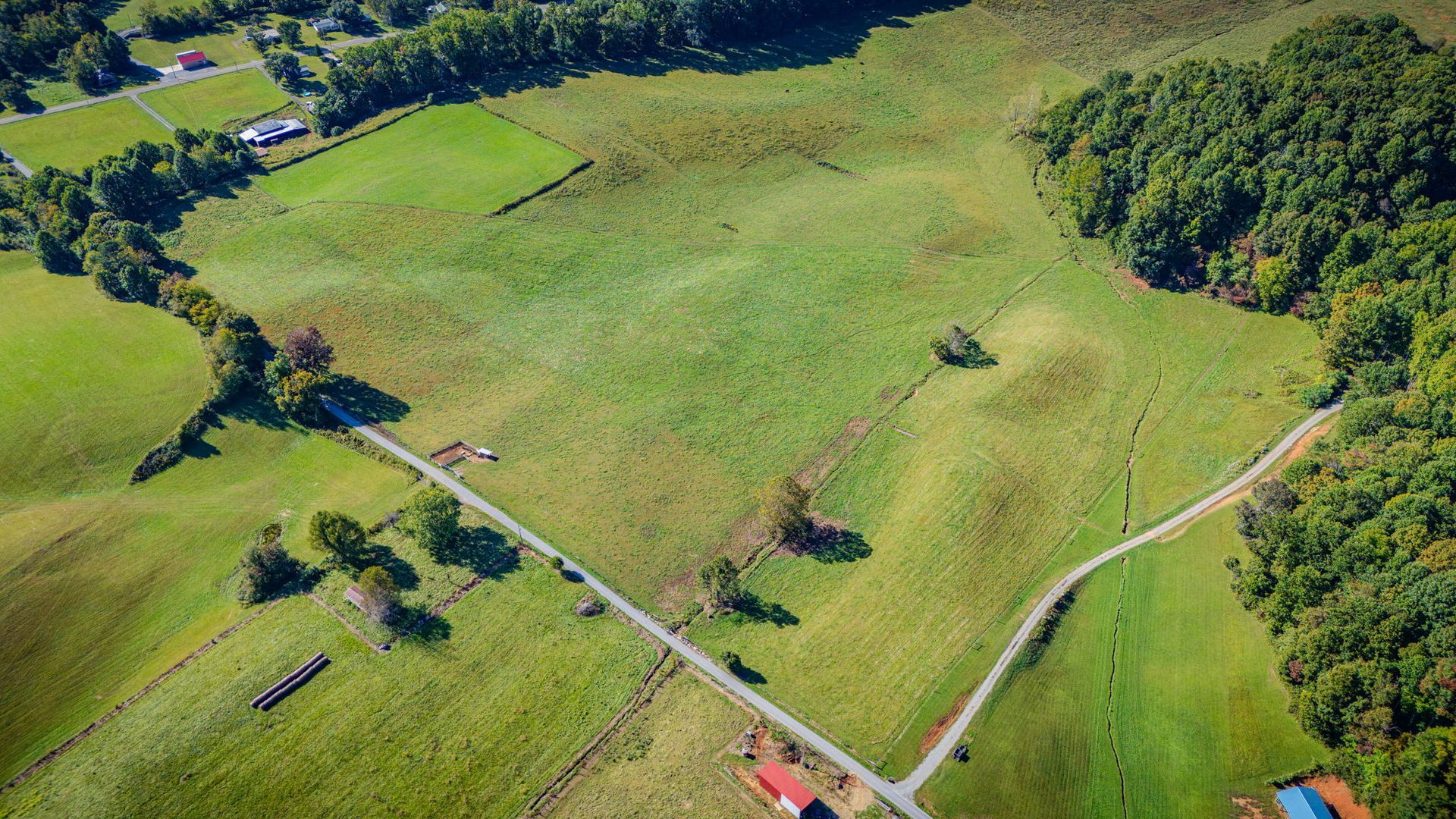 Aerial view of green farmland with intersecting dirt roads and scattered trees.