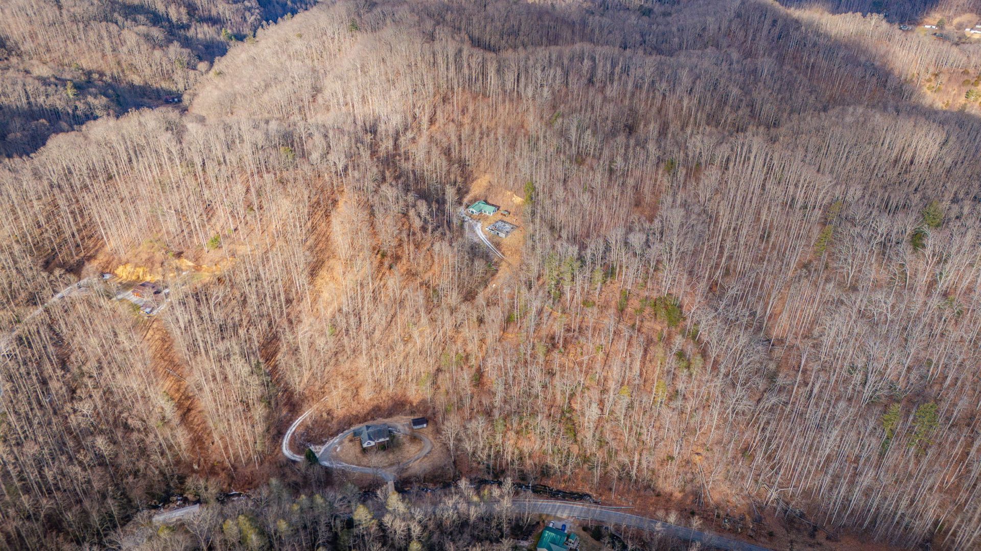 Aerial view of a mountain slope covered in bare trees. A road winds through, and a few structures are visible.