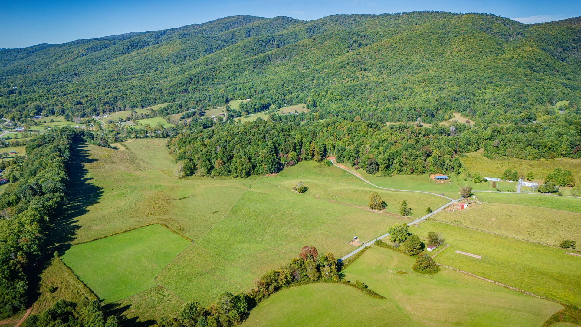 Green valley with open fields, scattered trees, and a forested mountain ridge under clear daylight