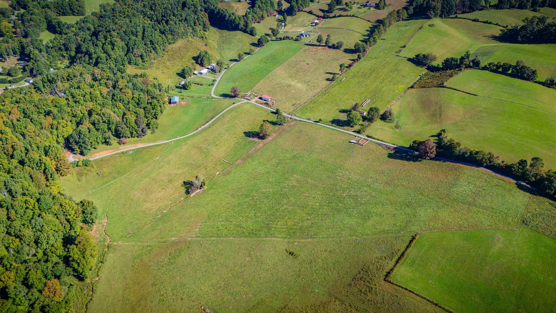 Aerial view of green fields and forested hills with a winding dirt road and scattered trees
