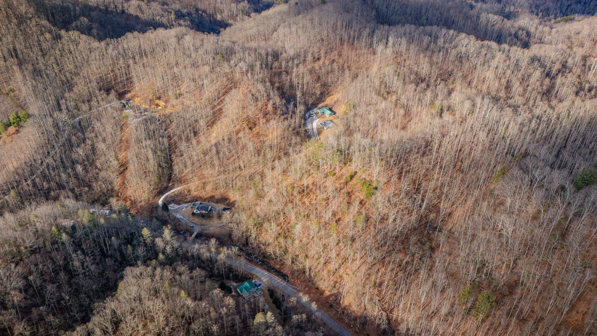 Winding road through a mountainside forest; bare trees, cabins, and a sunny day.