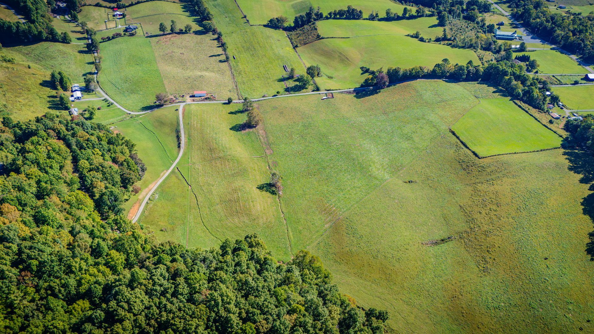 Aerial view of green farmland with winding dirt roads and trees along the edges