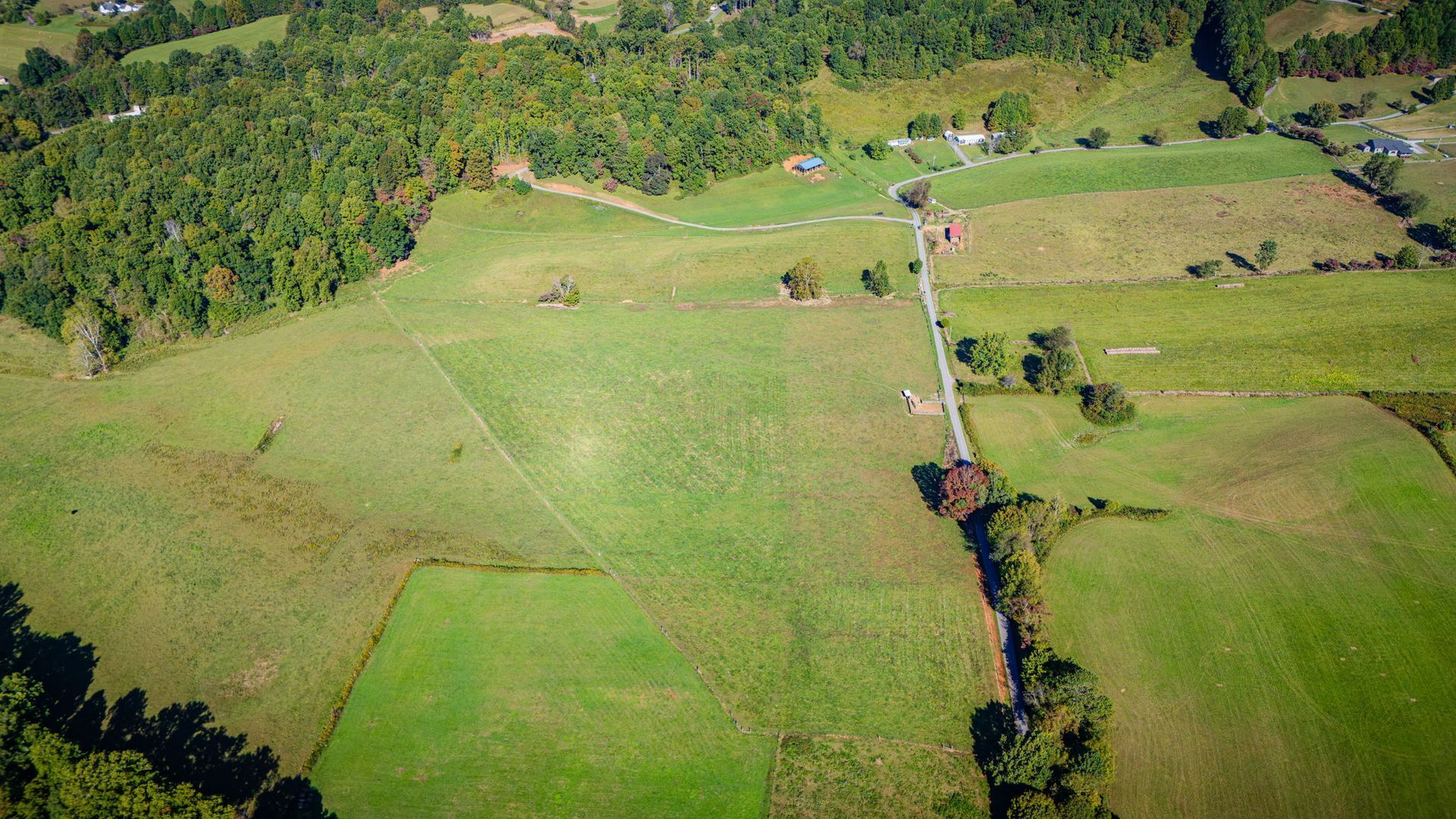 Aerial view of green farmland divided by fences and trees, with a narrow road through the center