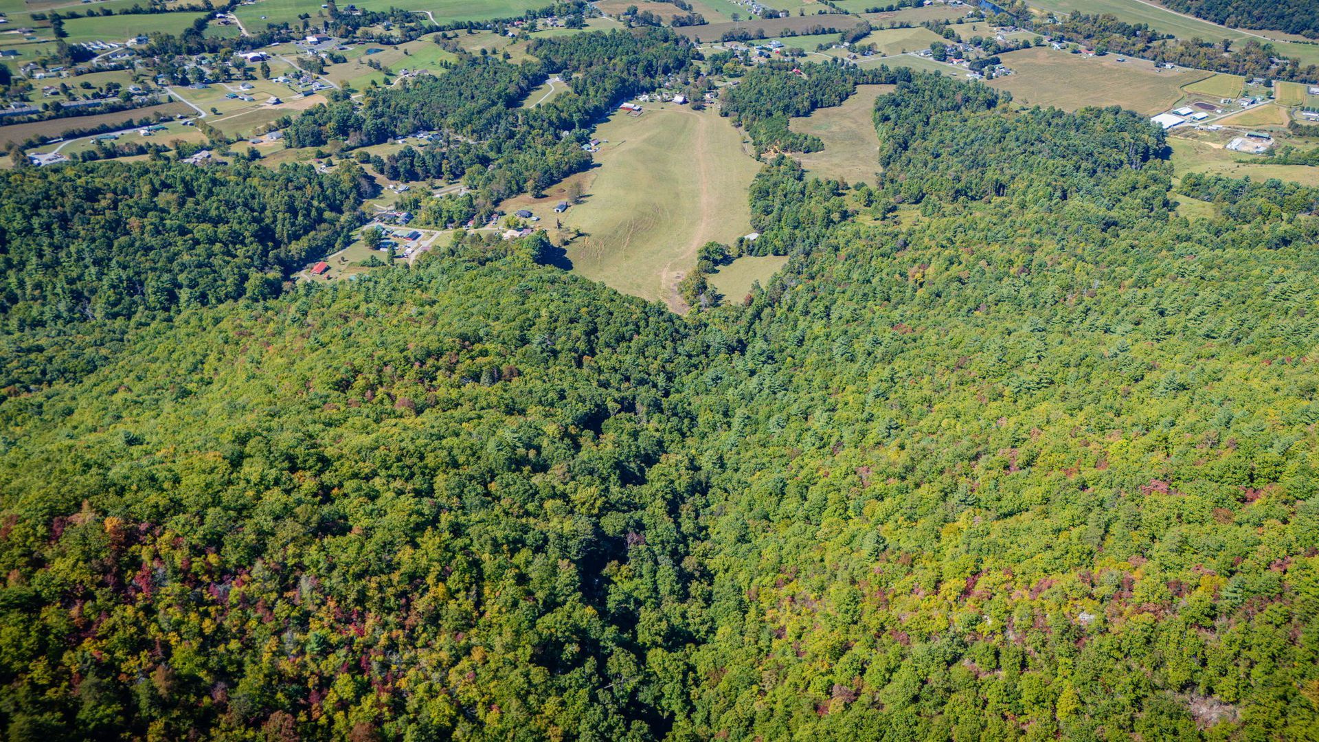 Aerial view of dense green forest with a pale grassy clearing near scattered houses and fields