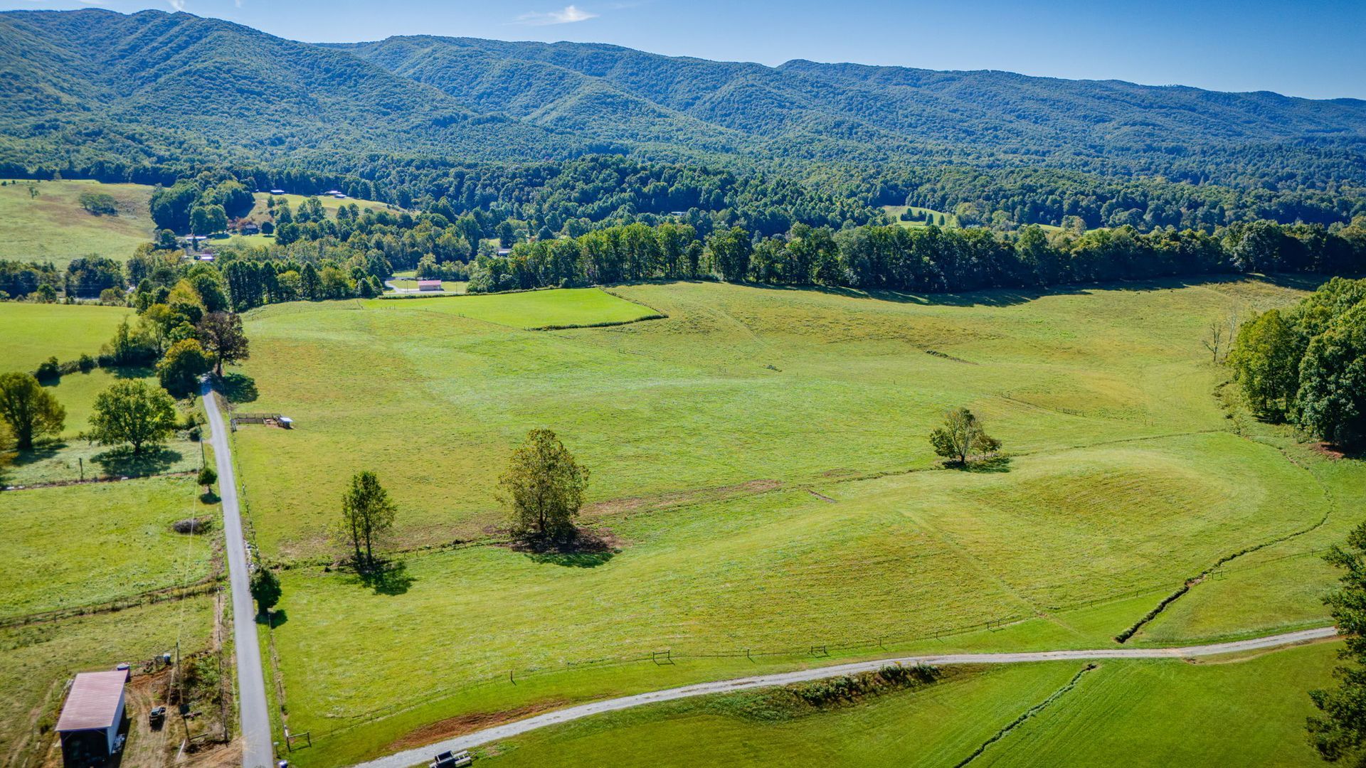 Green meadow with a winding road, trees, and forested mountains under a clear sky