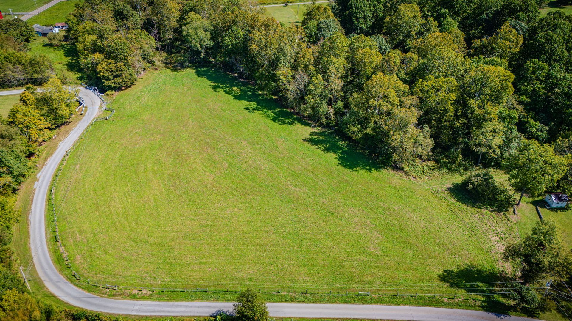 Aerial view of a grassy field bordered by a winding road and dense green trees.