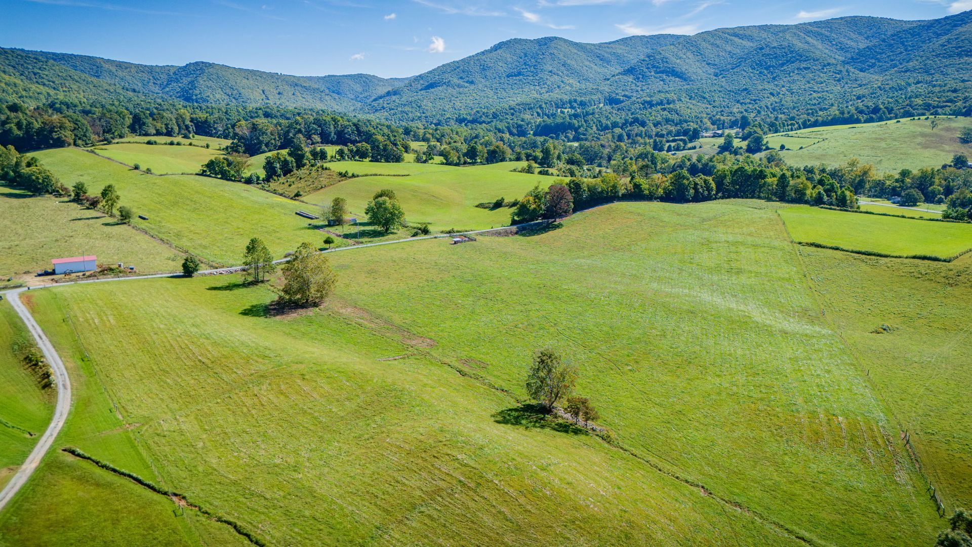 Rolling green countryside with winding road, scattered trees, and distant blue mountains under a clear sky
