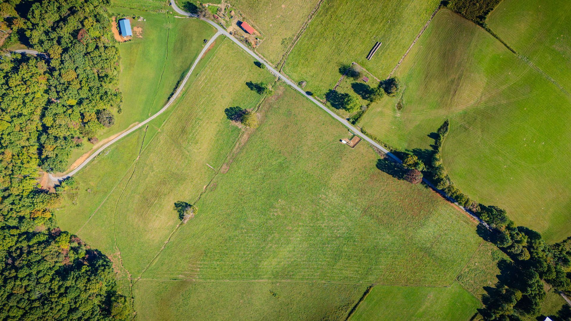 Aerial view of green farmland divided by fences, dirt roads, and scattered trees.