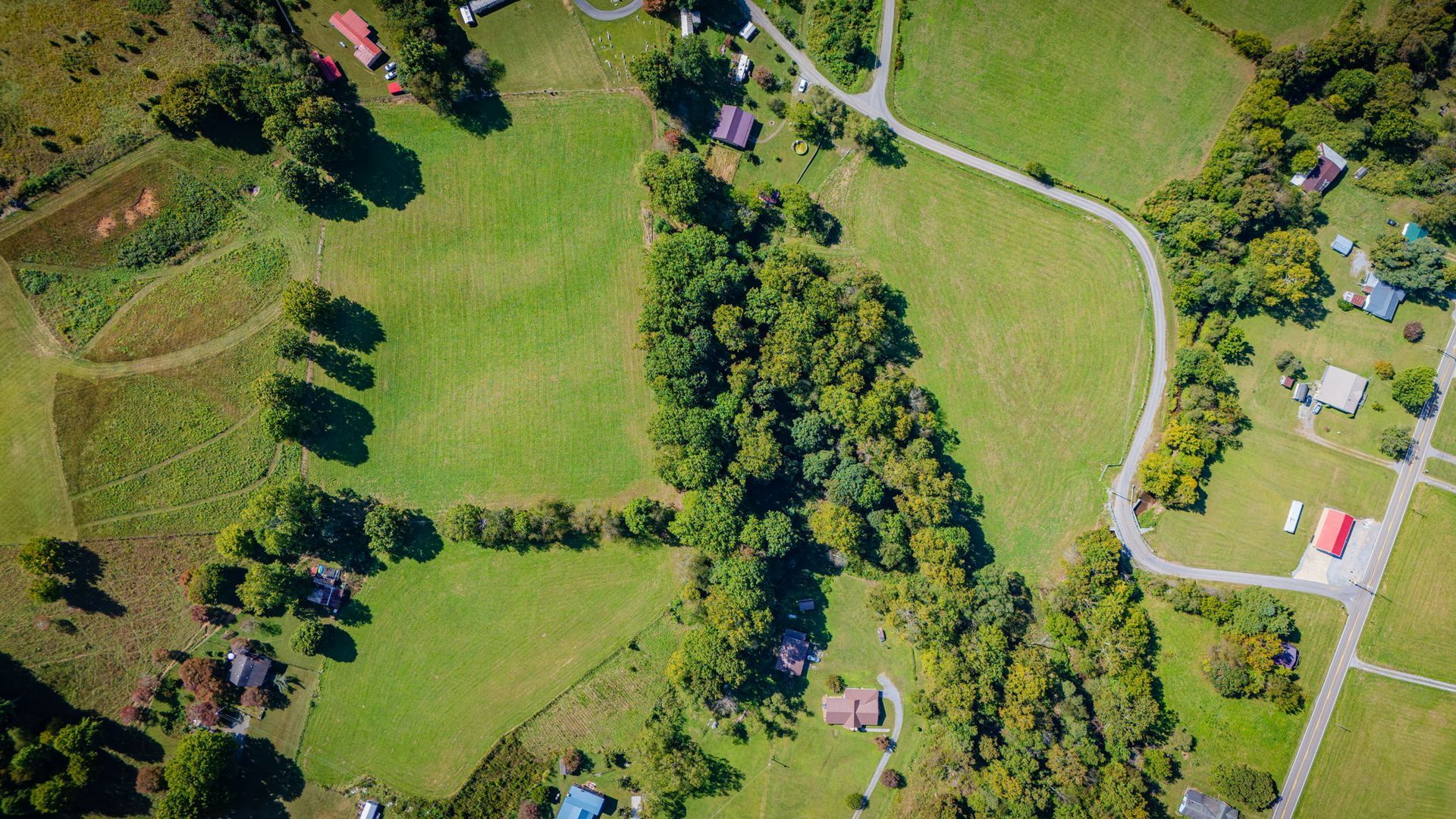 Aerial view of a grassy park with trees, a curving road, and a few houses nearby.