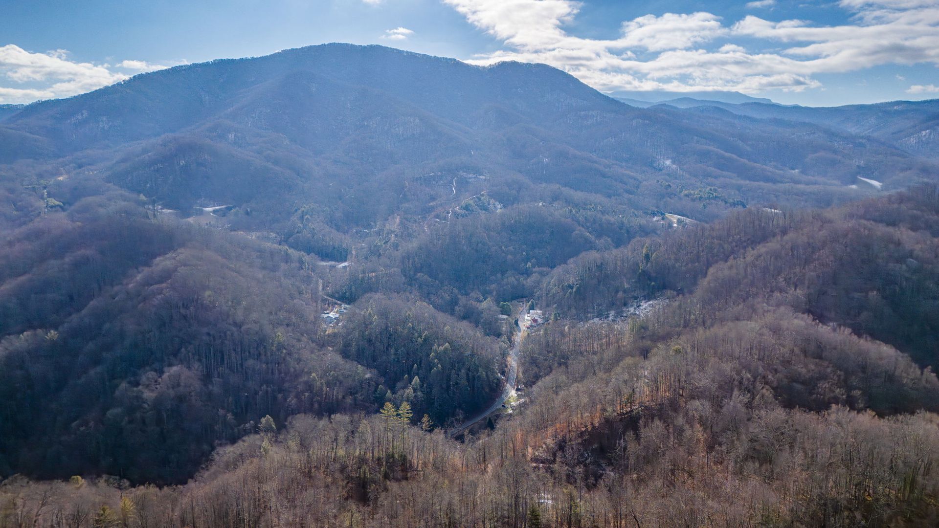 Mountain range covered in bare trees under a bright sky.
