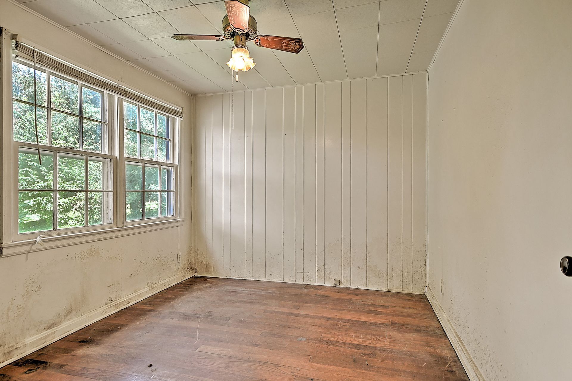 Empty room with white walls, wood floor, large windows, and a ceiling fan with light.