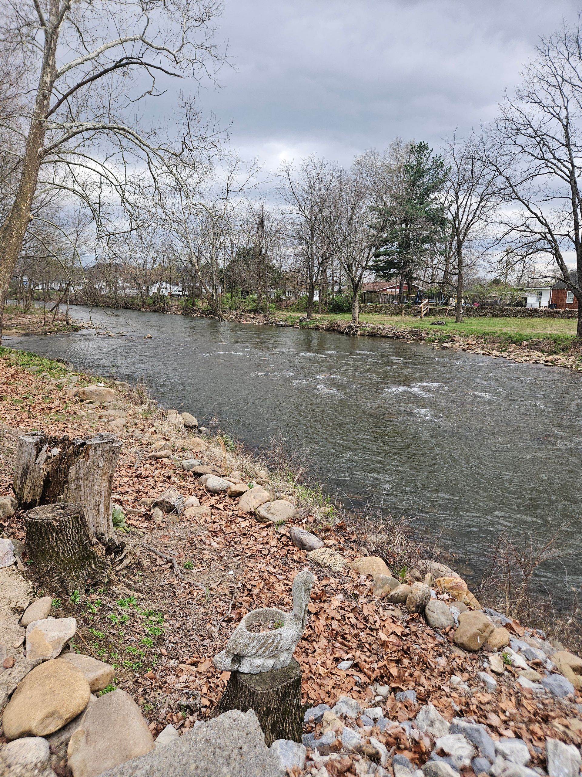 A rocky, leaf-covered riverbank along a flowing stream under a cloudy sky, with trees in the background.