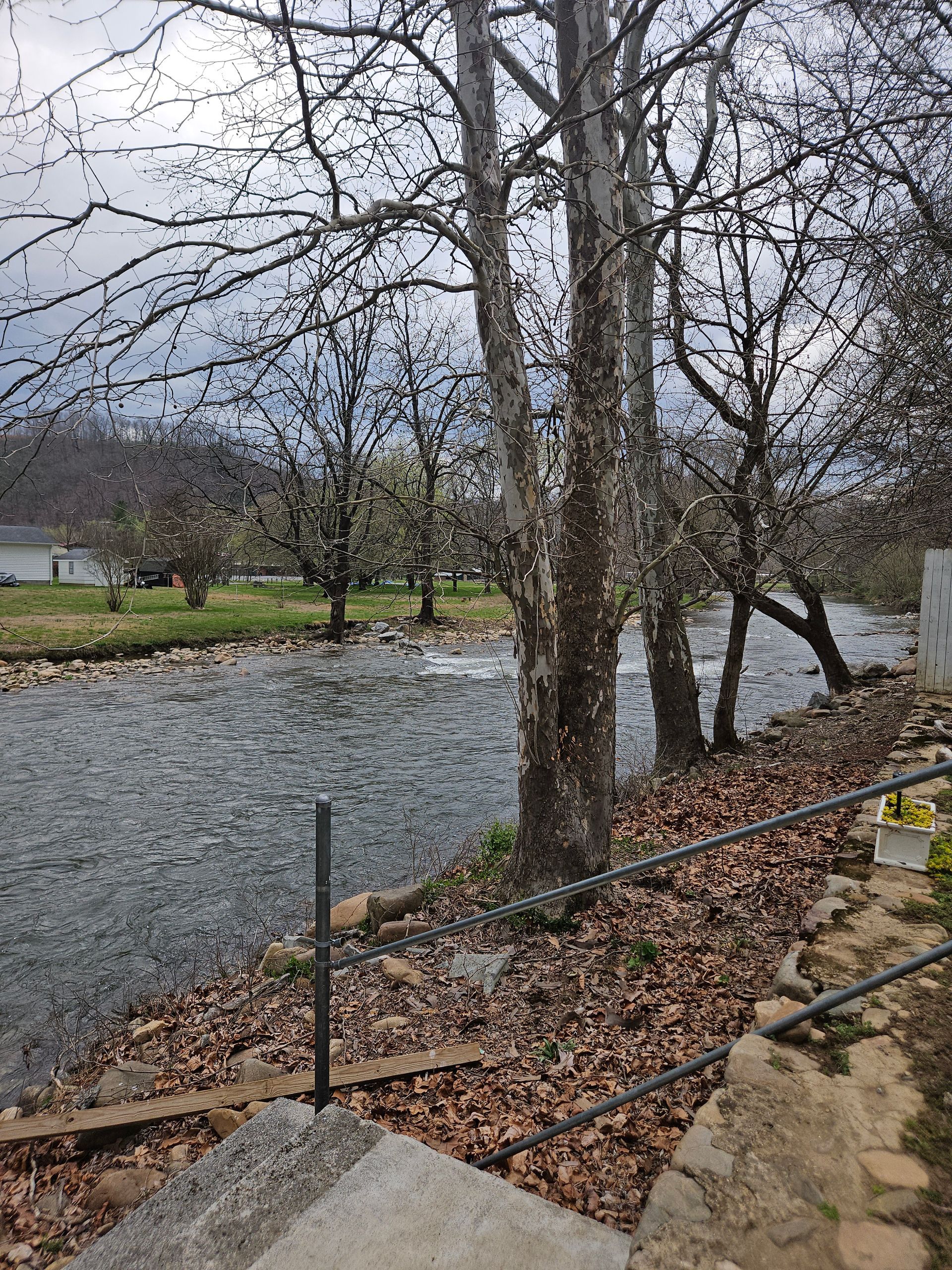 A stream flows past a bank lined with dormant trees, fallen leaves, and a metal railing under a cloudy sky.