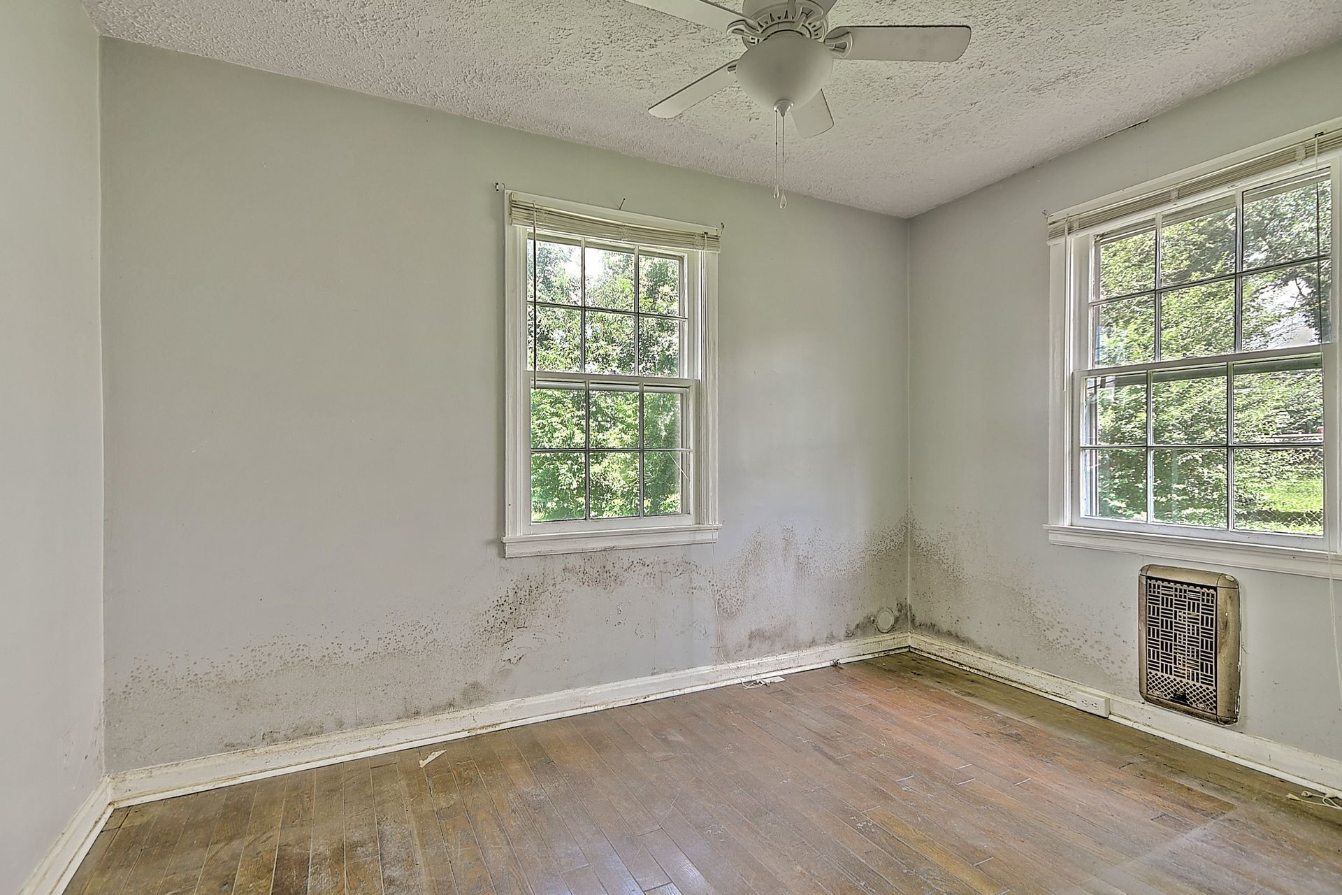 Empty room with water-damaged walls, two windows, and a ceiling fan.