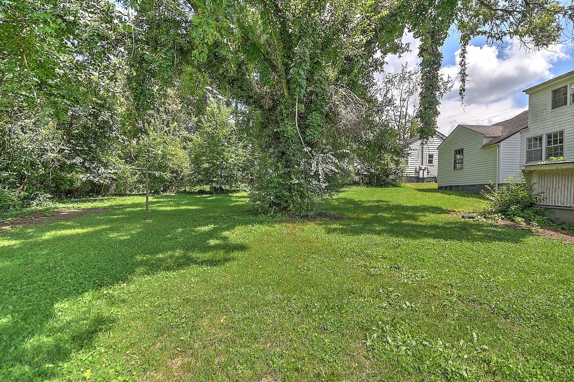 Sunny backyard with green grass, large tree, and a house with a porch in the background